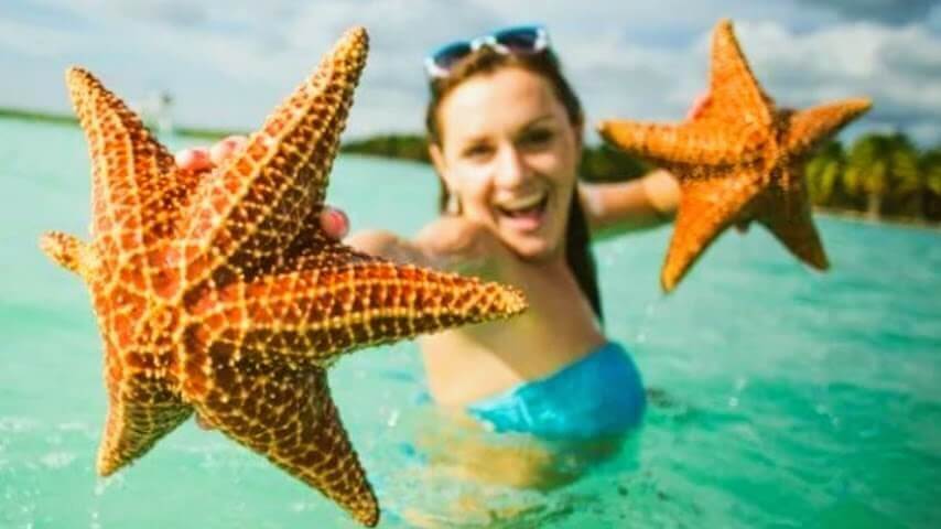 Reliable Full-day Tours, Adventures Agency in Punta Cana 2023