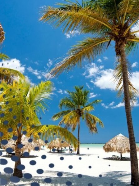 Punta-Cana-location-web-1.jpg